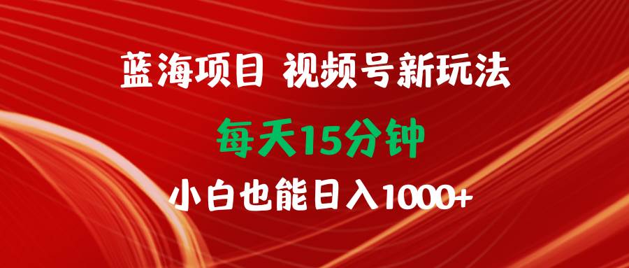 蓝海项目视频号新玩法 每天15分钟 小白也能日入1000+-飞鱼网创