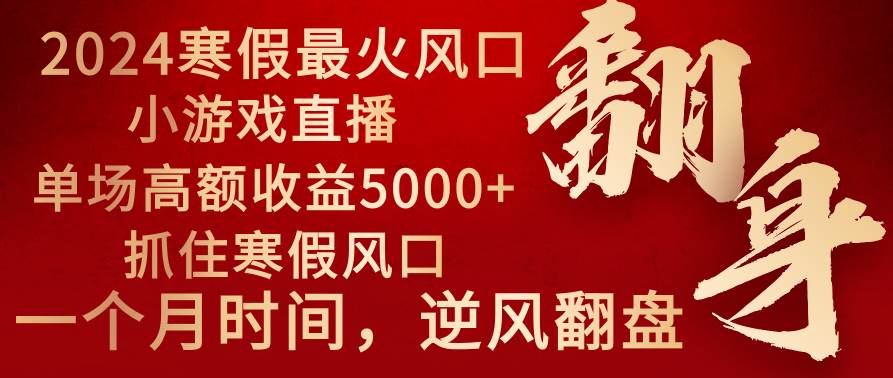 2024年最火寒假风口项目 小游戏直播 单场收益5000+抓住风口 一个月直接提车-飞鱼网创