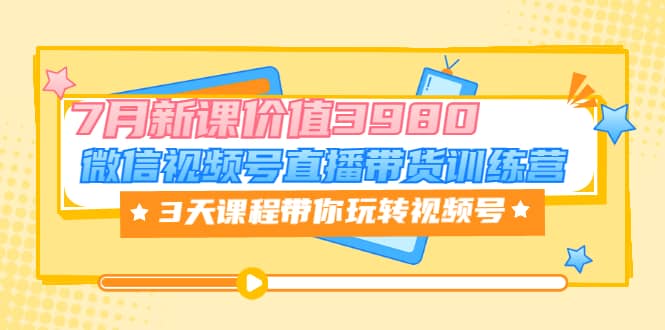 微信视频号直播带货训练营，3天课程带你玩转视频号：7月新课价值3980-飞鱼网创