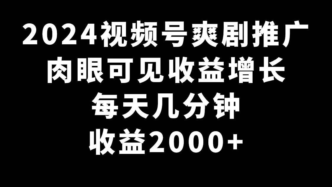 2024视频号爽剧推广，肉眼可见的收益增长，每天几分钟收益2000+-飞鱼网创