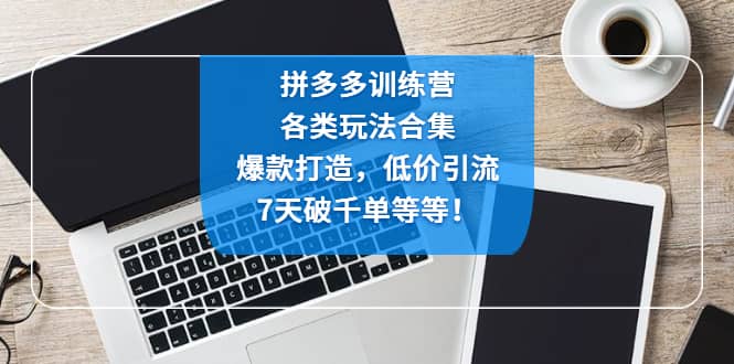 拼多多训练营：各玩法合集，爆款打造，低价引流，7天破千单等等-飞鱼网创