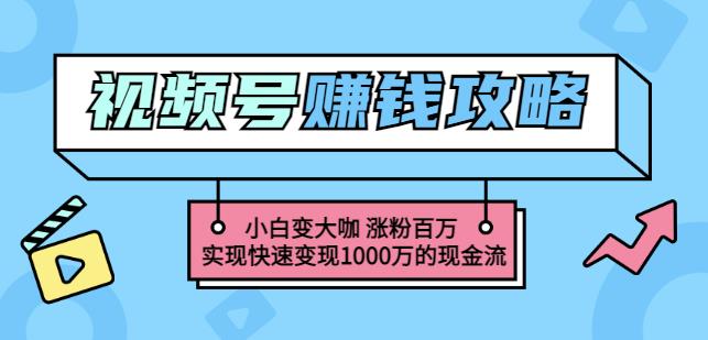 玩转微信视频号赚钱：小白变大咖涨粉百万实现快速变现1000万的现金流-飞鱼网创