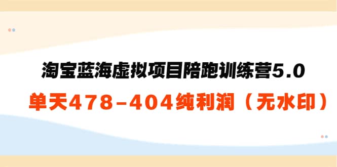 淘宝蓝海虚拟项目陪跑训练营5.0：单天478纯利润（无水印）-飞鱼网创