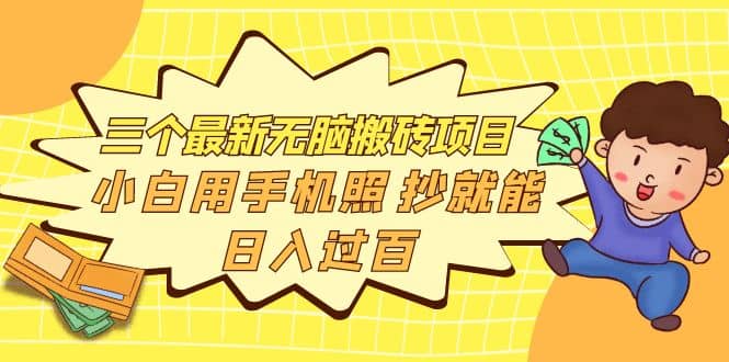 三个最新无脑搬砖项目，小白用手机照抄就能日入过百-飞鱼网创