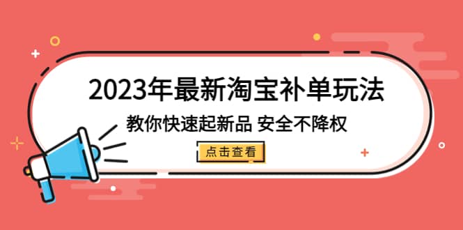 2023年最新淘宝补单玩法，教你快速起·新品，安全·不降权（18课时）-飞鱼网创