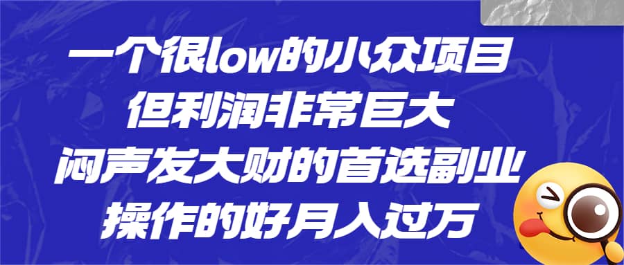 一个很low的小众项目，但利润非常巨大，闷声发大财的首选副业，月入过万-飞鱼网创