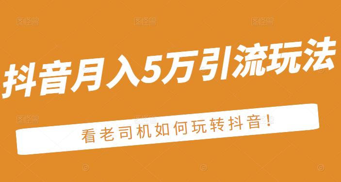 老古董·抖音月入5万引流玩法，看看老司机如何玩转抖音(附赠：抖音另类引流思路)-飞鱼网创