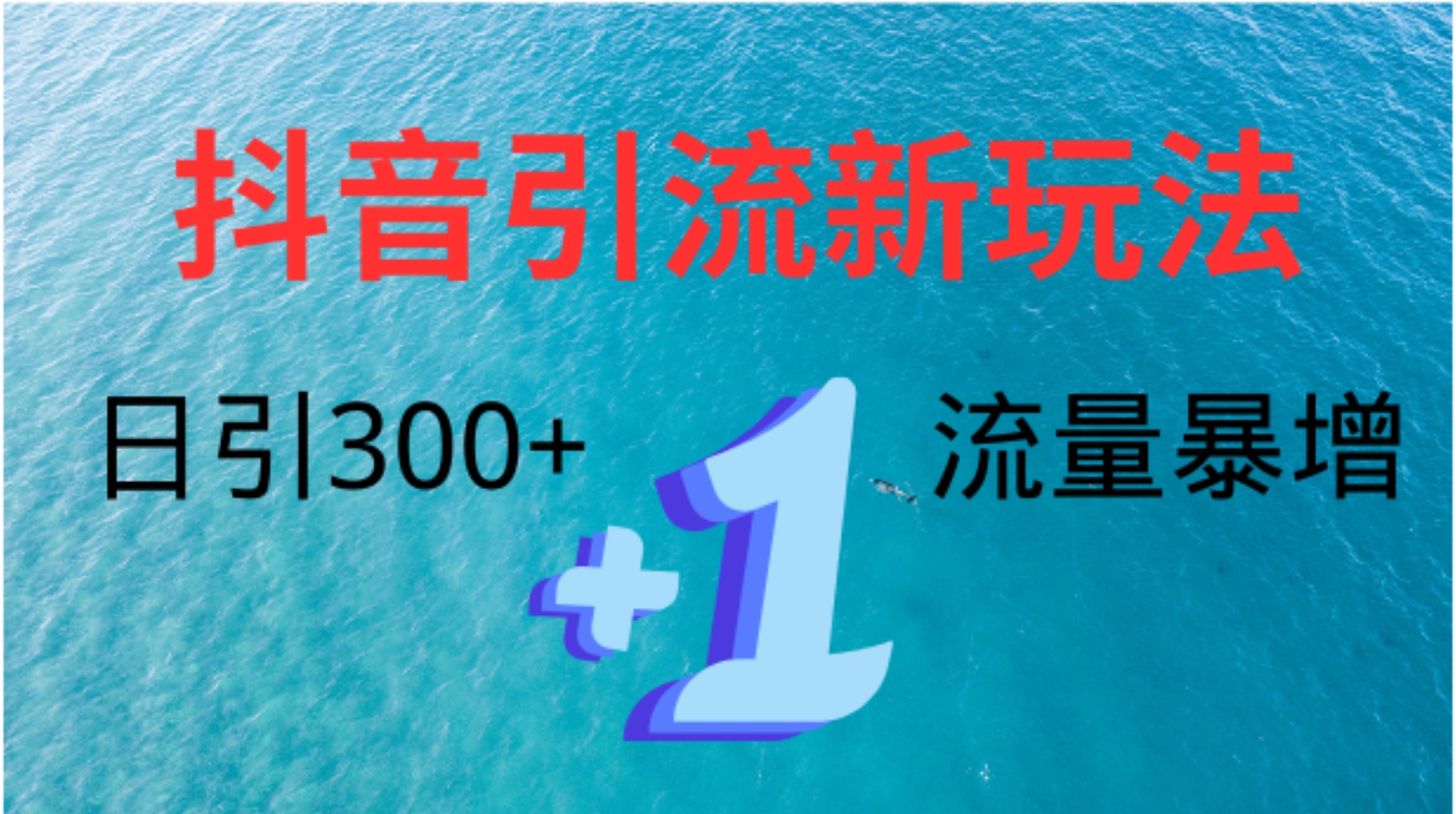 创业粉高效引流，抖音工具号玩法4.0，日引300+-飞鱼网创