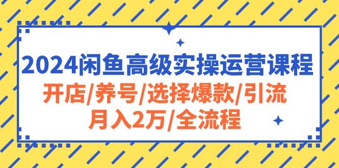 2024闲鱼高级实操运营课程：开店/养号/选择爆款/引流/月入2万/全流程-飞鱼网创