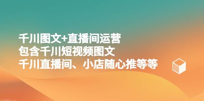 千川图文+直播间运营，包含千川短视频图文、千川直播间、小店随心推等等-飞鱼网创