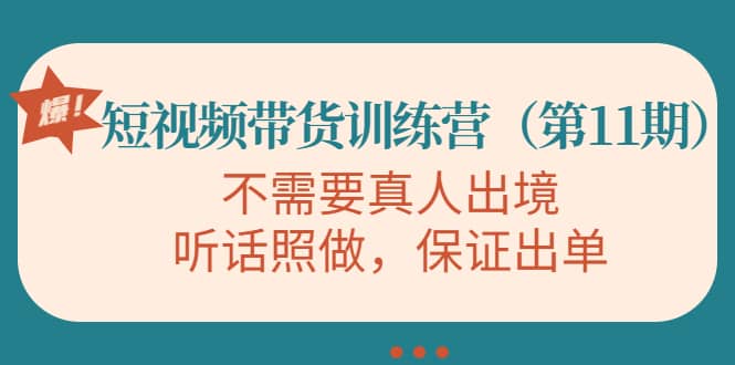 短视频带货训练营（第11期），不需要真人出境，听话照做，保证出单-飞鱼网创