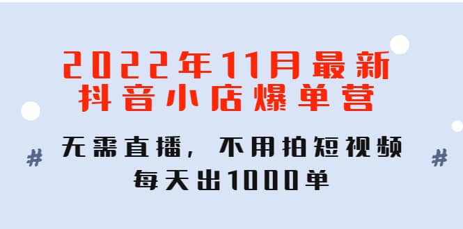 2022年11月最新抖音小店爆单训练营：无需直播，不用拍短视频，每天出1000单-飞鱼网创