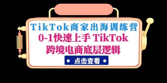 TikTok商家出海训练营：0-1快速上手 TikTok跨境电商底层逻辑(无水印)-飞鱼网创