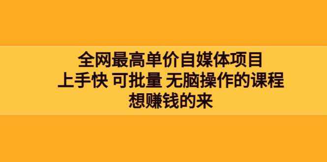 全网最单高价自媒体项目：上手快 可批量 无脑操作的课程，想赚钱的来-飞鱼网创