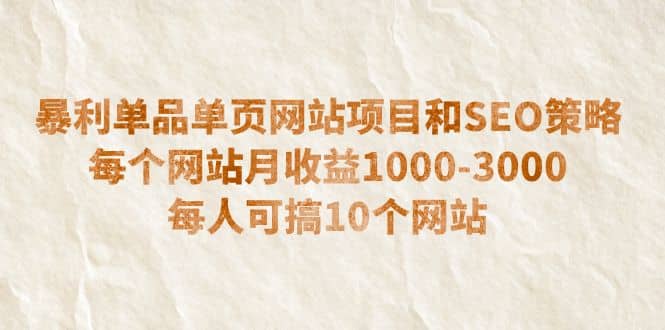 暴利单品单页网站项目和SEO策略 每个网站月收益1000-3000 每人可搞10个-飞鱼网创