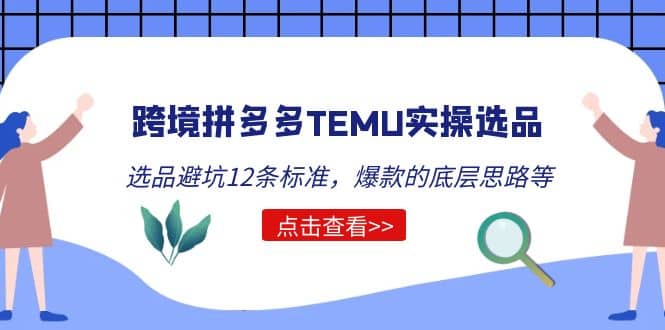 跨境拼多多TEMU实操选品运营方法，选品避坑12条标准，爆款的底层思路等-飞鱼网创