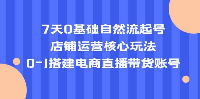 7天0基础自然流起号，店铺运营核心玩法，0-1搭建电商直播带货账号-飞鱼网创