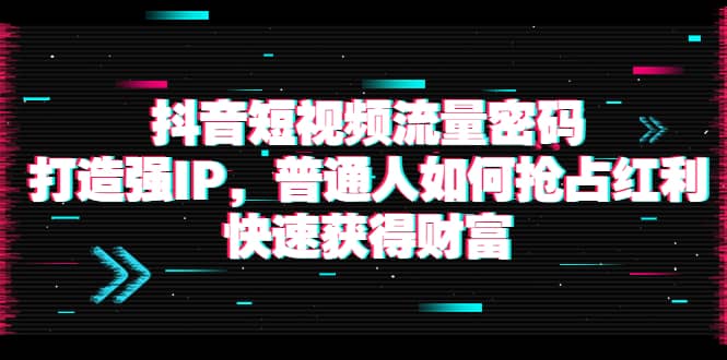 抖音短视频流量密码：打造强IP，普通人如何抢占红利，快速获得财富-飞鱼网创