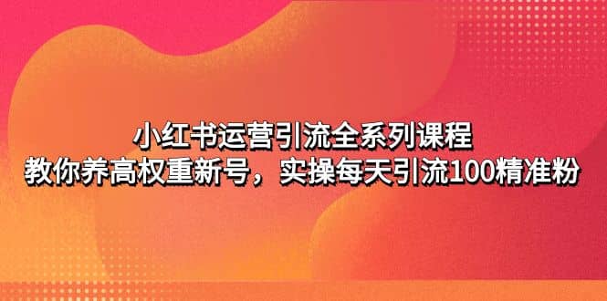 小红书运营引流全系列课程：教你养高权重新号-飞鱼网创