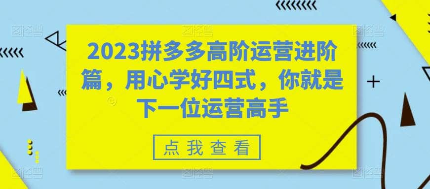 2023拼多多高阶运营进阶篇，用心学好四式，你就是下一位运营高手-飞鱼网创