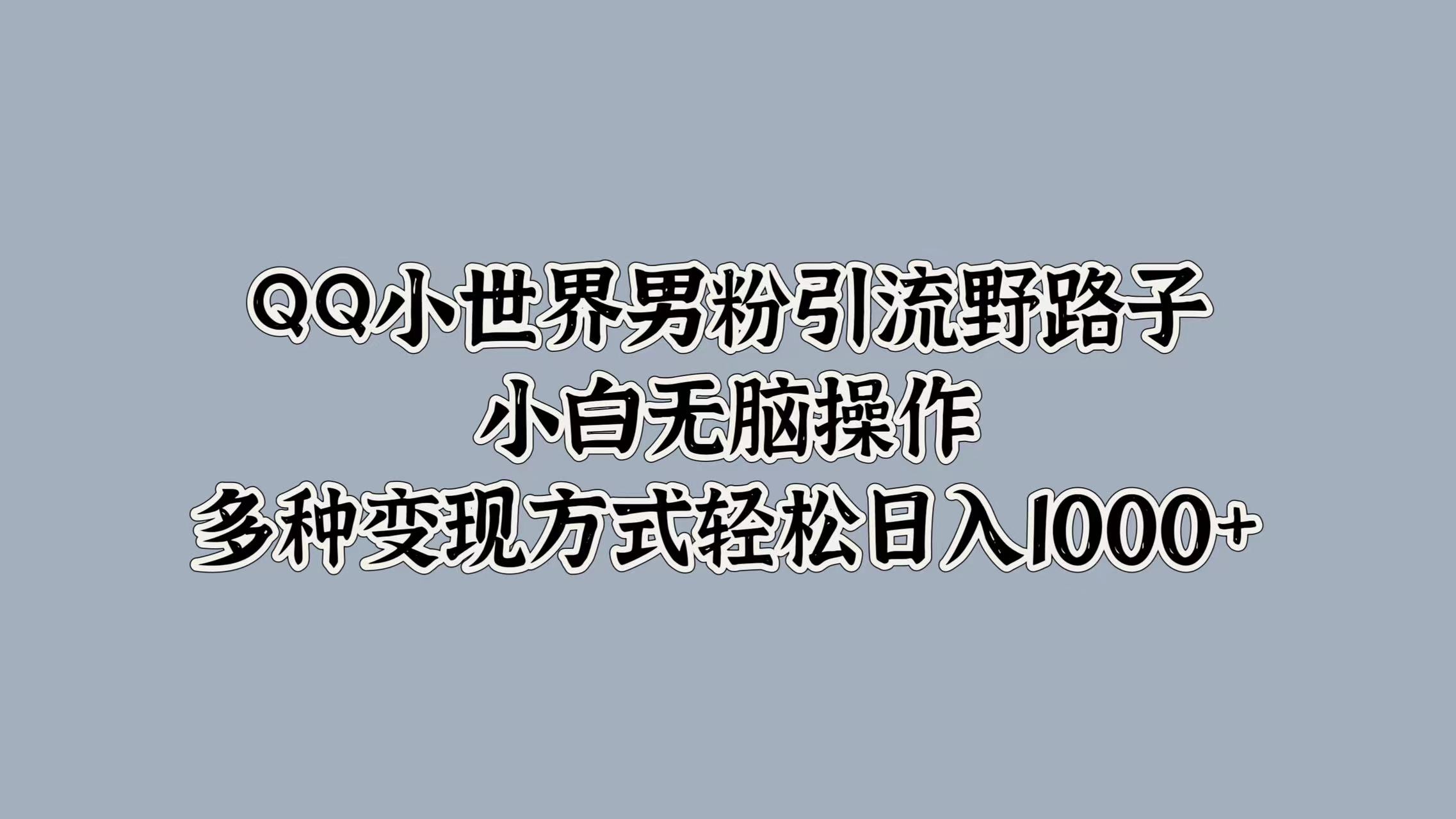 QQ小世界男粉引流野路子，小白无脑操作，多种变现方式轻松日入1000+-飞鱼网创