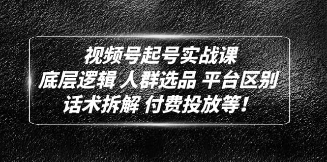 视频号起号实战课：底层逻辑 人群选品 平台区别 话术拆解 付费投放等-飞鱼网创