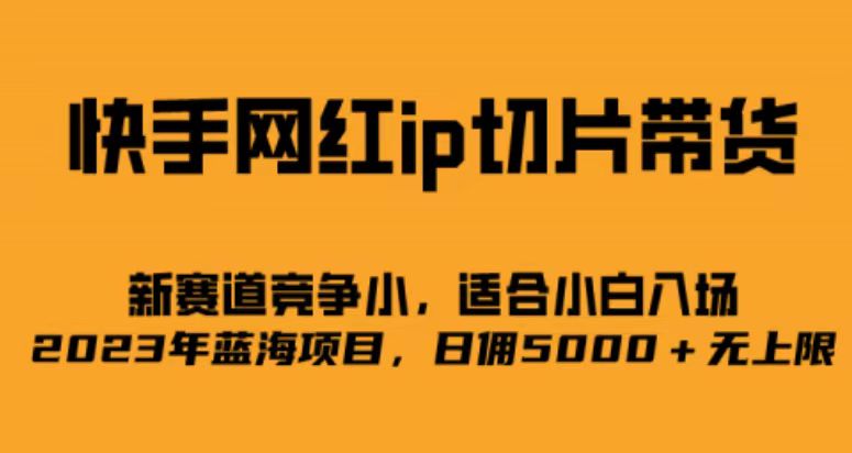 快手网红ip切片新赛道，竞争小事，适合小白 2023蓝海项目-飞鱼网创