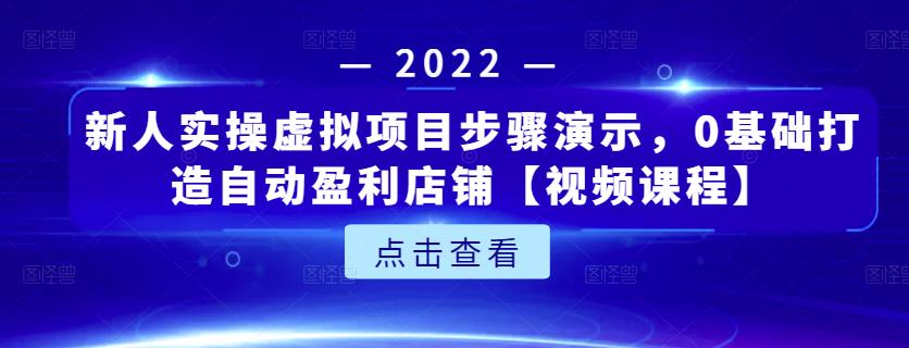 新人实操虚拟项目步骤演示，0基础打造自动盈利店铺【视频课程】-飞鱼网创