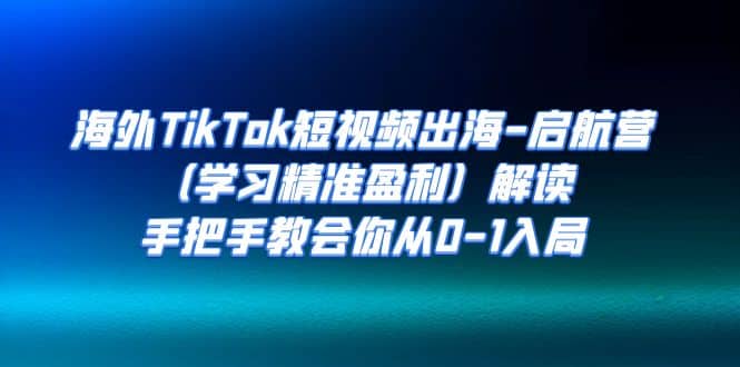 海外TikTok短视频出海-启航营（学习精准盈利）解读，手把手教会你从0-1入局-飞鱼网创