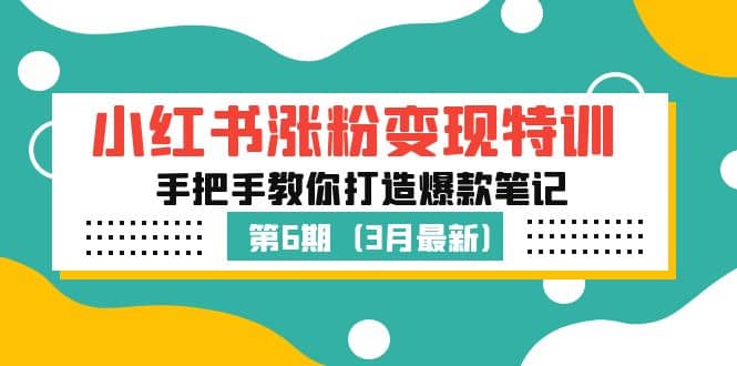 小红书涨粉变现特训·第6期，手把手教你打造爆款笔记（3月新课）-飞鱼网创