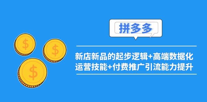 2022拼多多：新店新品的起步逻辑+高端数据化运营技能+付费推广引流能力提升-飞鱼网创