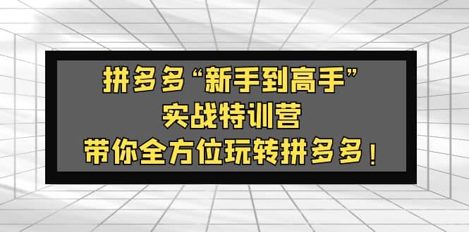 拼多多“新手到高手”实战特训营：带你全方位玩转拼多多-飞鱼网创