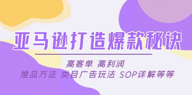 亚马逊打造爆款秘诀：高客单 高利润 推品方法 类目广告玩法 SOP详解等等-飞鱼网创