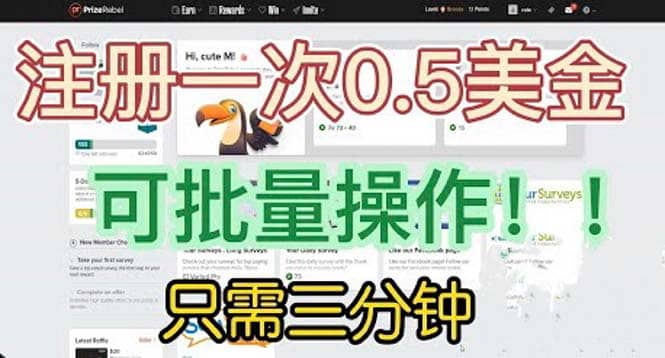 国外项目注册一次0.5美金 只需三分钟无脑操作 可批量放大 小白工作室福利-飞鱼网创