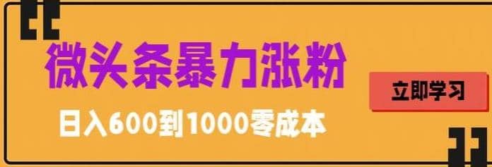 微头条暴力涨粉技巧搬运文案就能涨几万粉丝，简单0成本，日赚600-飞鱼网创