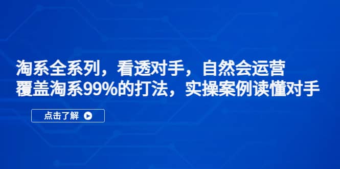 淘系全系列，看透对手，自然会运营，覆盖淘系99%·打法，实操案例读懂对手-飞鱼网创