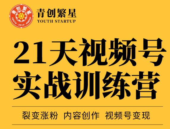 张萌21天视频号实战训练营，裂变涨粉、内容创作、视频号变现 价值298元-飞鱼网创