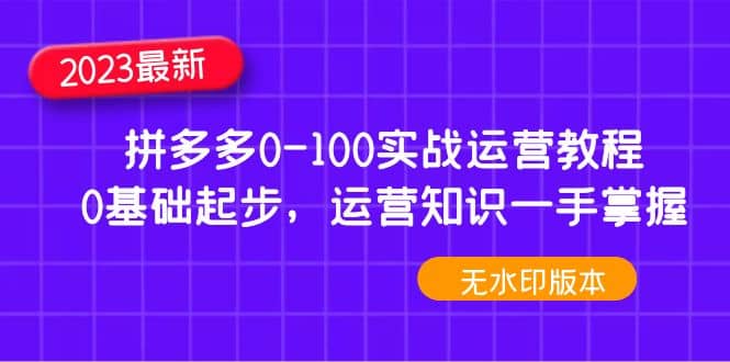 2023拼多多0-100实战运营教程，0基础起步，运营知识一手掌握（无水印）-飞鱼网创