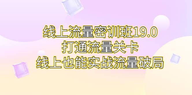 线上流量密训班19.0，打通流量关卡，线上也能实战流量破局-飞鱼网创