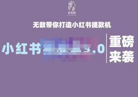 谢无敌·小红书实战营3.0，无敌带你打造小红书提款机 价值7999元-飞鱼网创