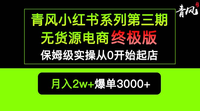 小红书无货源电商爆单终极版【视频教程+实战手册】保姆级实操从0起店爆单-飞鱼网创