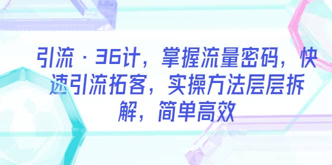 引流·36计，掌握流量密码，快速引流拓客，实操方法层层拆解，简单高效-飞鱼网创