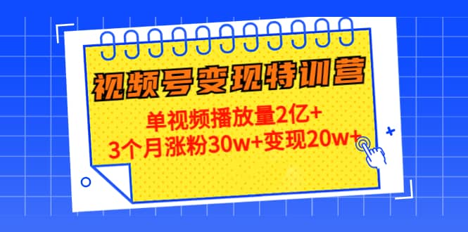 20天视频号变现特训营：单视频播放量2亿+-飞鱼网创