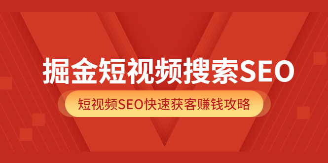 掘金短视频搜索SEO，短视频SEO快速获客赚钱攻略（价值980）-飞鱼网创