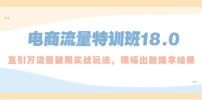 电商流量特训班18.0，直引万流量破局实操玩法，现场出数据拿结果-飞鱼网创