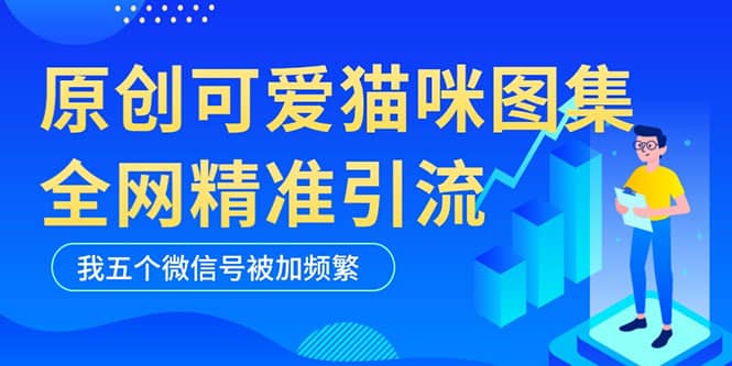 黑科技纯原创可爱猫咪图片，全网精准引流，实操5个VX号被加频繁-飞鱼网创