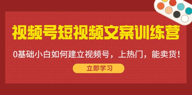 视频号短视频文案训练营：0基础小白如何建立视频号，上热门，能卖货！-飞鱼网创