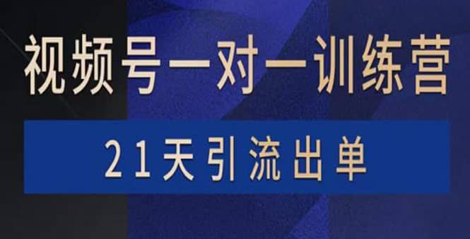 视频号训练营：带货，涨粉，直播，游戏，四大变现新方向，21天引流出单-飞鱼网创