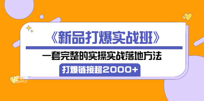 《新品打爆实战班》一套完整的实操实战落地方法，打爆链接超2000+（38节课)-飞鱼网创