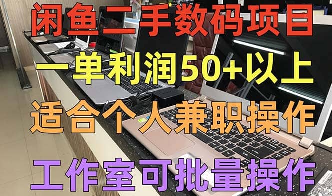 闲鱼二手数码项目，个人副业低保收入，工作室批量放大操作-飞鱼网创